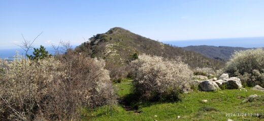 Il Pizzo Aguzzo (m.757) dal Pizzo Penna (m.700)