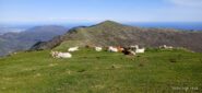 Ritorno verso il Monte Ceresa 