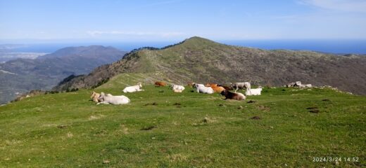 Ritorno verso il Monte Ceresa 