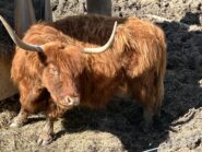 incontri inaspettati