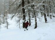Silvia tra i pali