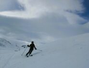 Buona primaverile anche in basso