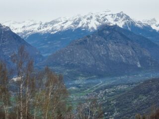 Diei e Cistella