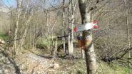 la fontana di legno..