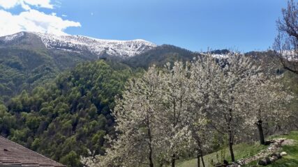 da Santa Margherita verso il Cauri
