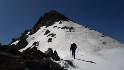 poco sotto l'antima..