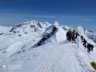 Dalla cima verso le punte del Rosa