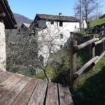 L’arrivo a Le Mont du Suc, dove il Cammino Balteo si stacca da AV1 e scende a Lillianes