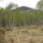 Sentiero, ma dura poco