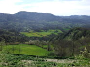 Panorama salendo al Ronzone