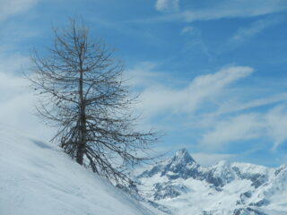 vista sul Pic de Rochebrune