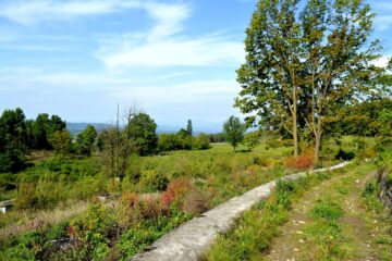 Mabiente bucolico.