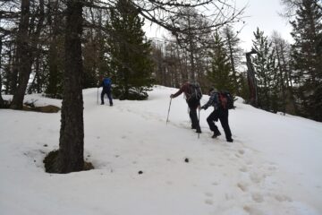 Il primo tratto sulla dorsale, verso la cima.