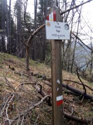 Colle Tejè