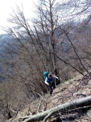 salita al monte Tejè 
