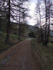 La strada prima della quota neve