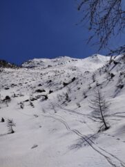 Discesa sulla dorsale che taglia a sinistra, la prima a mollare