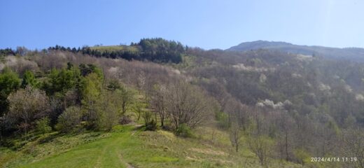 Costone di salita 