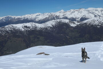 Dak nel suo elemento