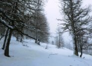 Atmosfera ovattata in partenza