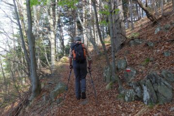 Verso la Fontana Barale