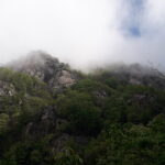 il Brunello da Rocca Barale..