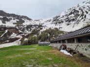 ars e col tardiva 