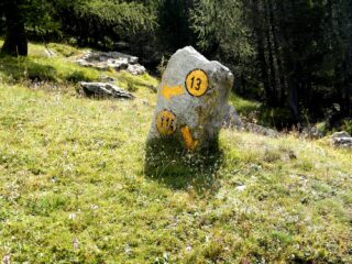 Il bivio 11A/13 nei pressi dell'Alpe Arcomy.