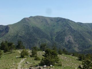Il Monte delle Figne