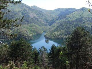 Compare il Lago Bruno