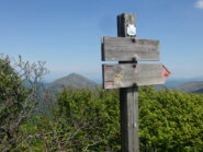 In vetta alla Costa Lavezzara