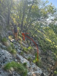 Dopo che si perde di quota poco. Dopo aver passato i massi Boulder seguire la traccia dove va la freccia , e poco dopo si trova L albero spezzato 