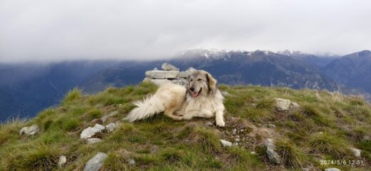 Pointe de Lugo (m.1929) e la mascotte che ci ha seguito 