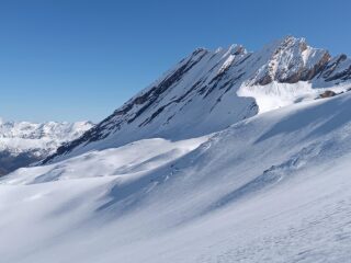 Estetica ed elegante