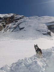 Zeus e lo scivolo da salire