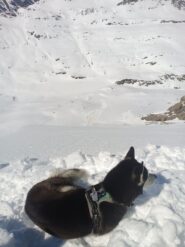 Zeus in relax prima della discesa sullo scivolo