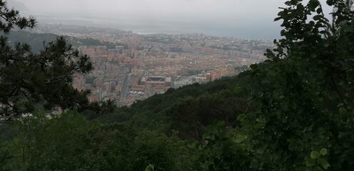 Vista su Genova e Stadio Marassi
