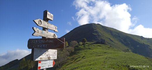 Colle Arpiola e Monte Vecchio 
