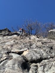 Su Crocerossina