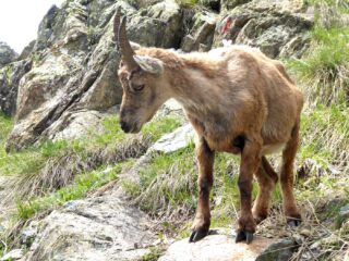 Al termine della Via!