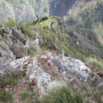 Cavalcando la dorsale verso il rilievo, uno sguardo indietro.