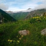 nella Conca di Casera Vecchia 