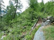 ponte abbandonato salendo a fianco del Rio Santanel