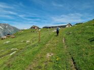 Les Planards 