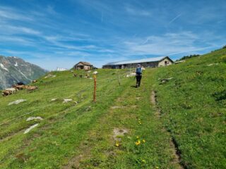 Les Planards 