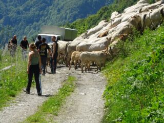 sono iniziate le vacanze