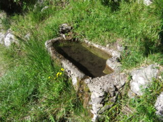 Sorgente di Romin