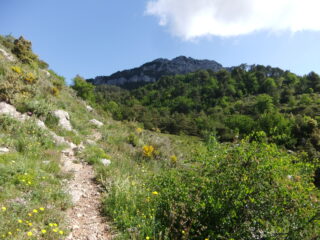 Quasi al Col de la Madone