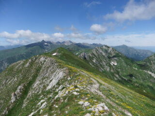 Dorsale dell' Antoroto