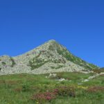 Tutte le tonalità del verde